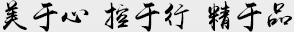 美于心，控于行，精于品